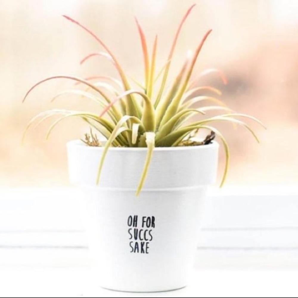 4in. Terracotta Plant Pot w/ Holder